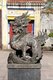 Vietnam: Dragon in front of the Royal Theatre, The Imperial City, The Citadel, Hue